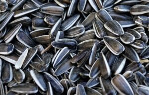 Sunflower Seeds can boost your immune system