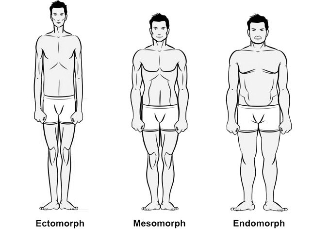 Male Body Types The Ultimate Guide For Men S Body Types