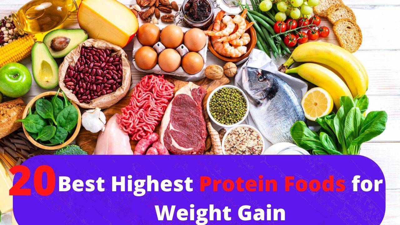 20 Best Highest Protein Foods for Weight Gain
